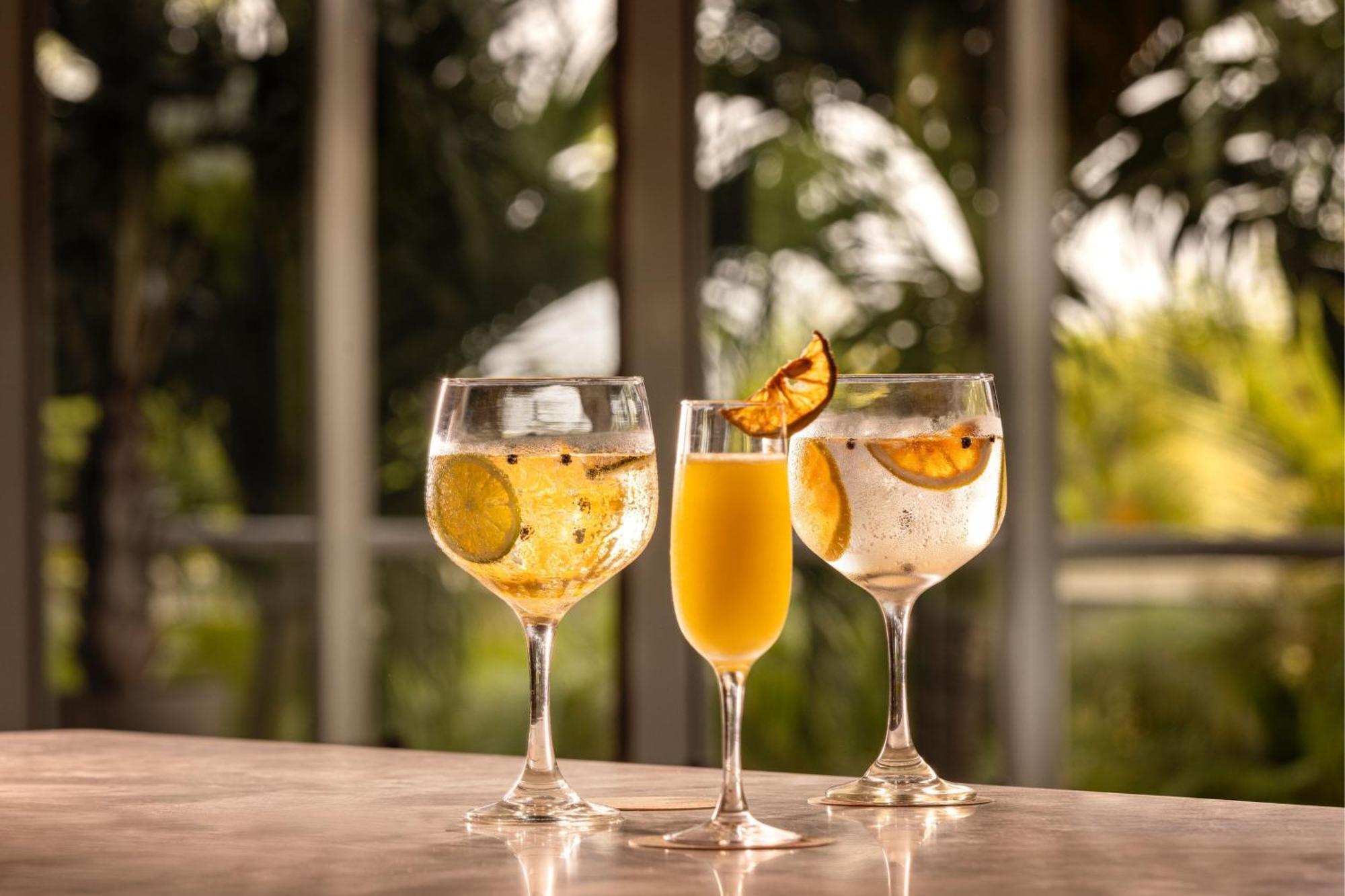 睡眠海滩圣玛尔塔万豪度假村 外观 照片 Glasses of ginger beer